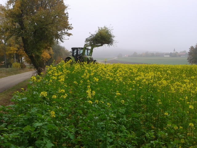 2012-10-20 15.06.18 (640x480).jpg