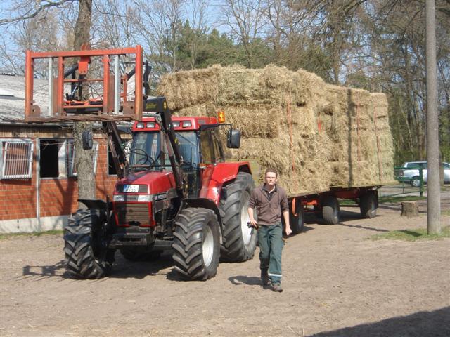 P4240131 (Small).JPG