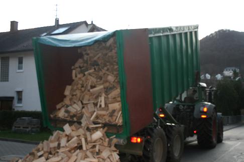 Holzlieferung1.JPG