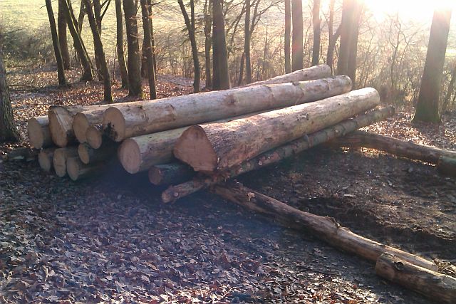 Holzrücken Januar 2013i.jpg