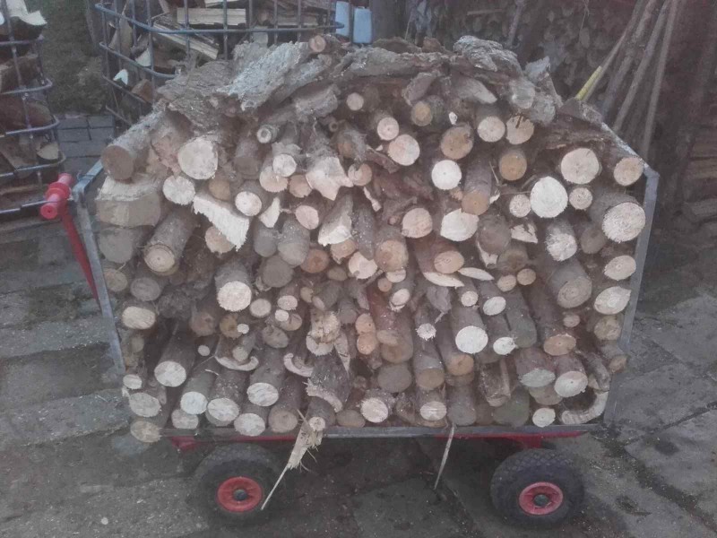 2016-12-23 Opas Holzwagl.jpg