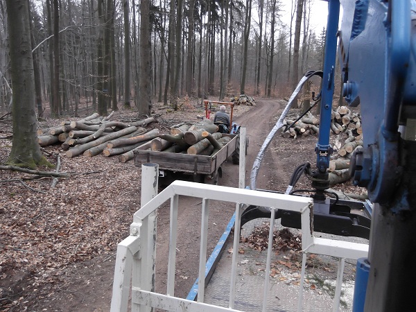 Holzabfuhr 2012 erster Teil 005.JPG