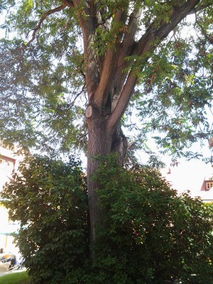 2012-06-15 13.49.45.jpg