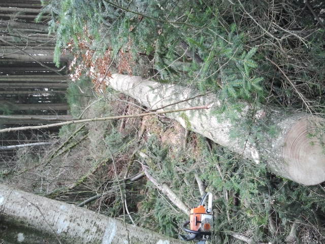 2016-02-08 11.33.18.jpg