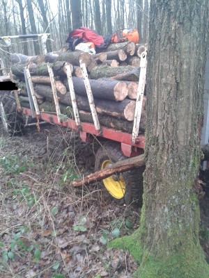 MF Panne am Baum!.jpg