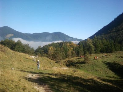 2013-10-03 10.48.38.jpg