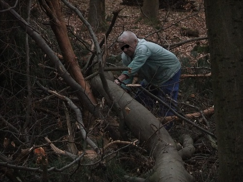Waldarbeit und Landschaft Jan-Feb2011 021.JPG