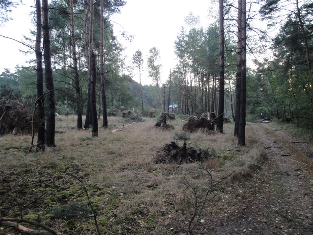 DSC02978.JPG