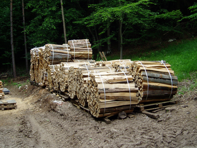 Ergebnis 2010 004.jpg