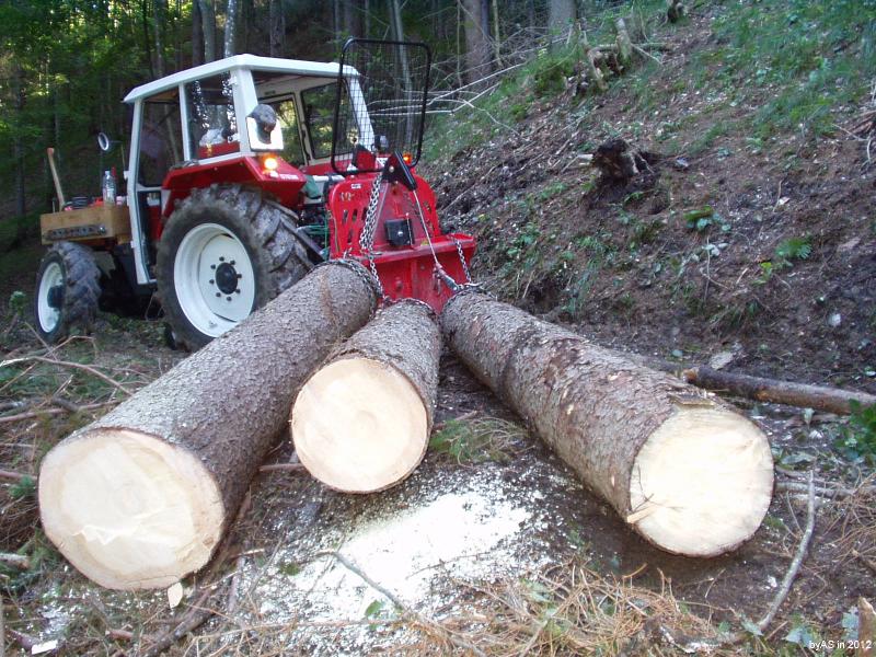 Noch_gutes_Kaeferholz_P9200002_2.jpg