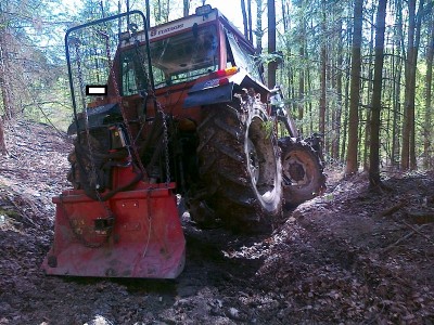 Hoch das Bein....jpg