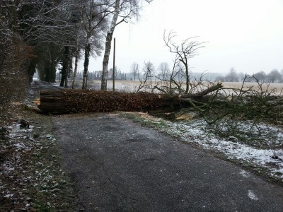 IMG-20130209-WA0005 (800x600).jpg