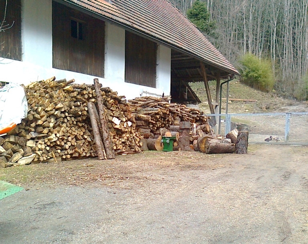 Holz.jpg