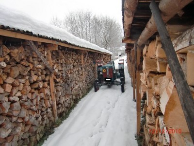 Holz holen mit dem Kleinen.JPG
