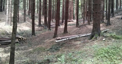 IMG_20130601_144535_r.jpg