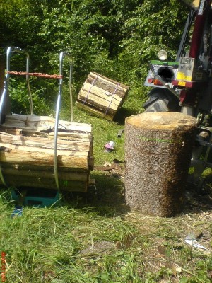 06-Juli-2013_v1.jpg