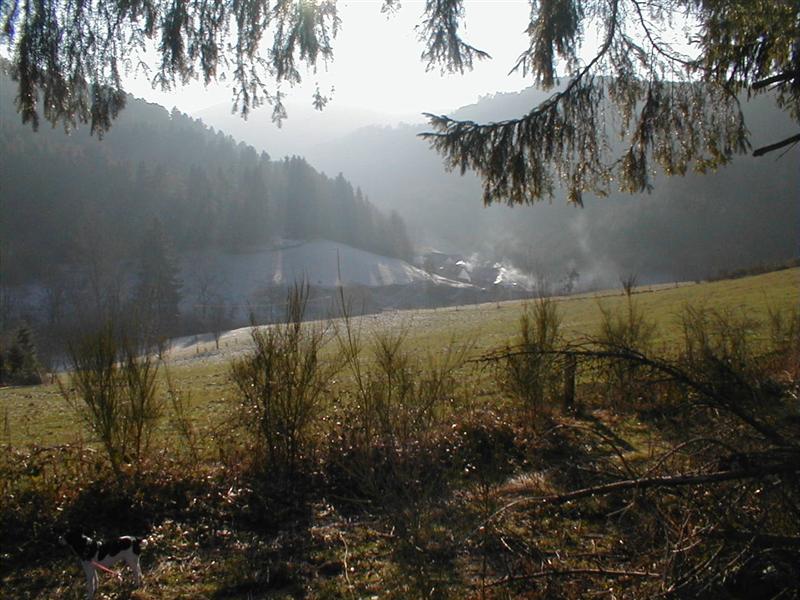 Bild 011 (Medium).jpg