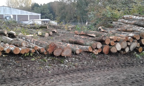 2016-10-30 16.18.20.jpg