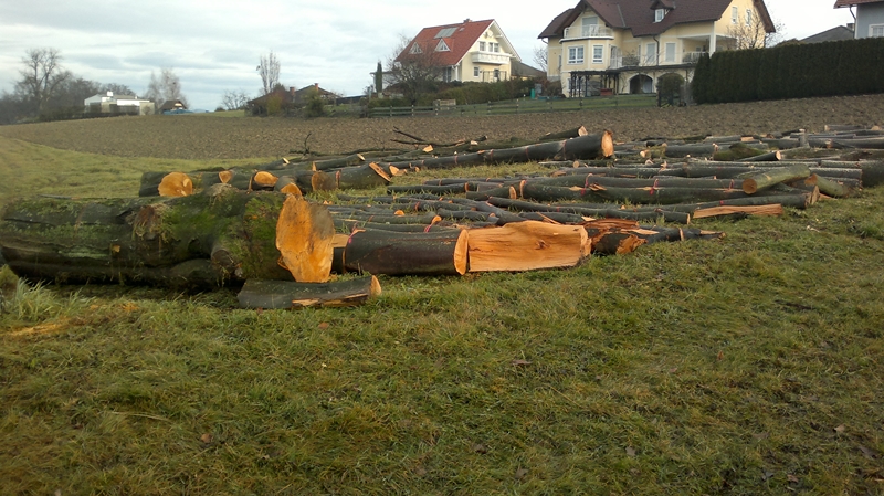 041220111268 (Kopie).jpg