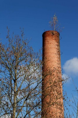 Ich bin der Groesste_kl.jpg
