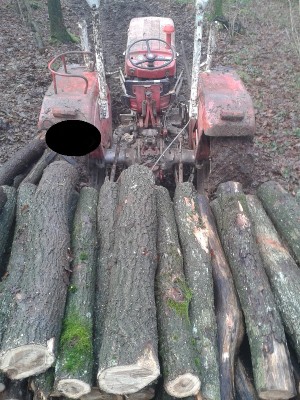 MF von Oben halb Voll!.jpg