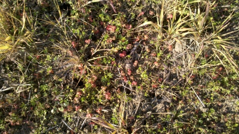 Mais 2014-04-24 5.jpg