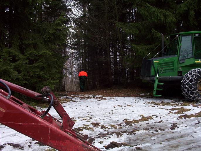 Erster Tag 2009 im Holz 001.jpg