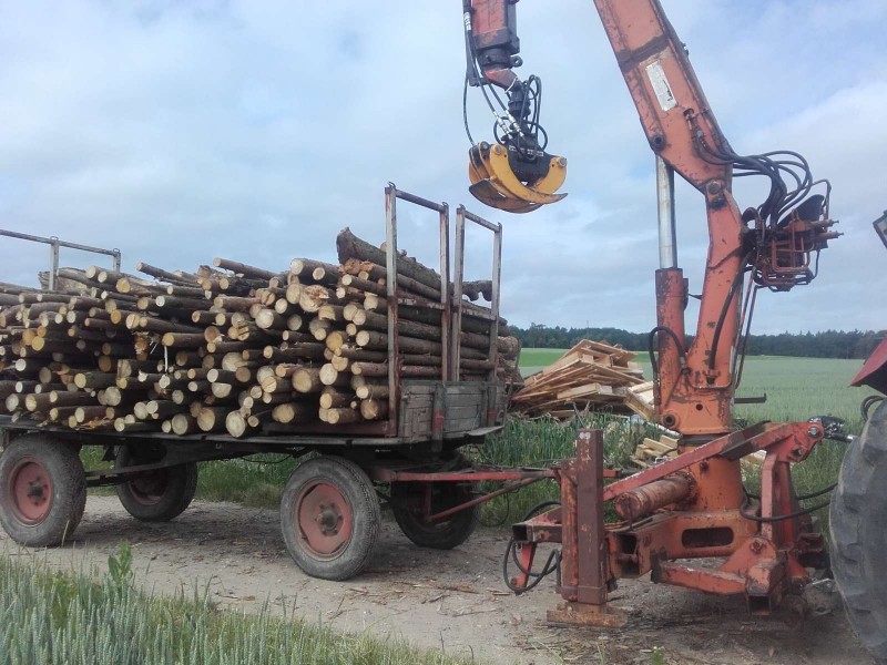 2019-06-11 Stangen mit Kran abladen 1.jpg