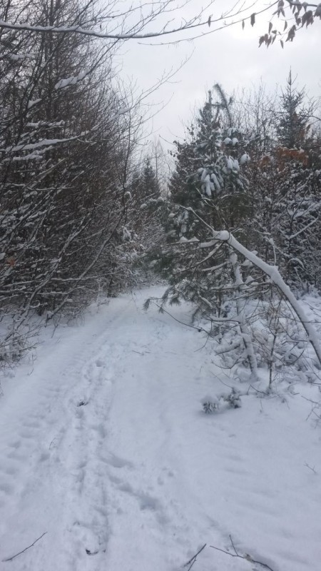 Eindrücke 17.01 (7).jpg