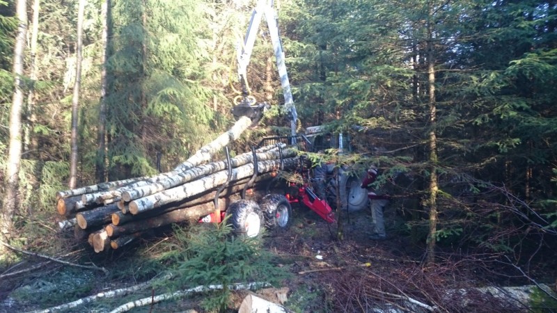 DSC_1155 (Medium).JPG