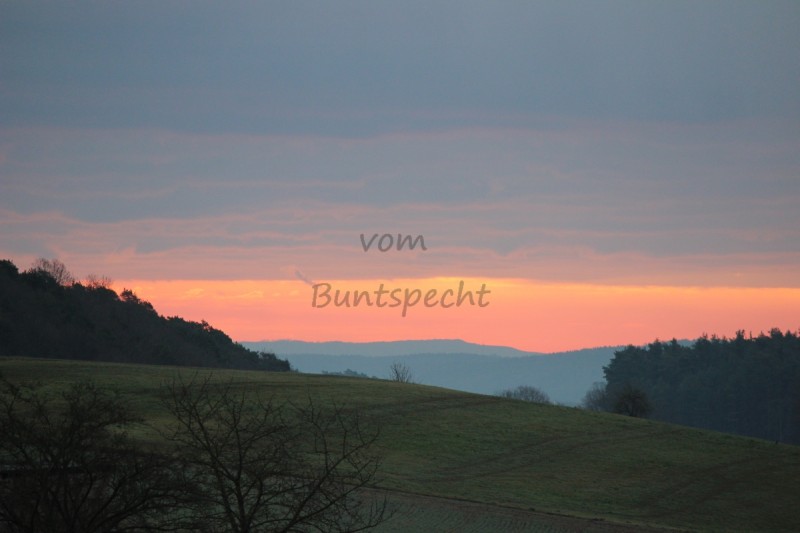 Bildla Nummä 002.jpg