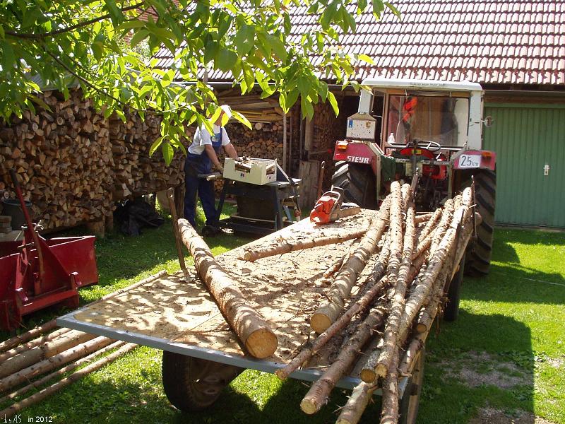 Fichtenstangen_zersaegen_P5300001_2.JPG