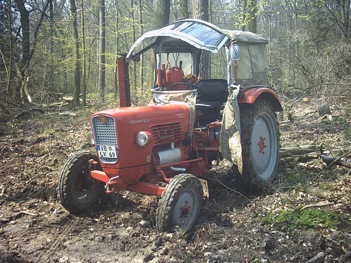 Wald.JPG