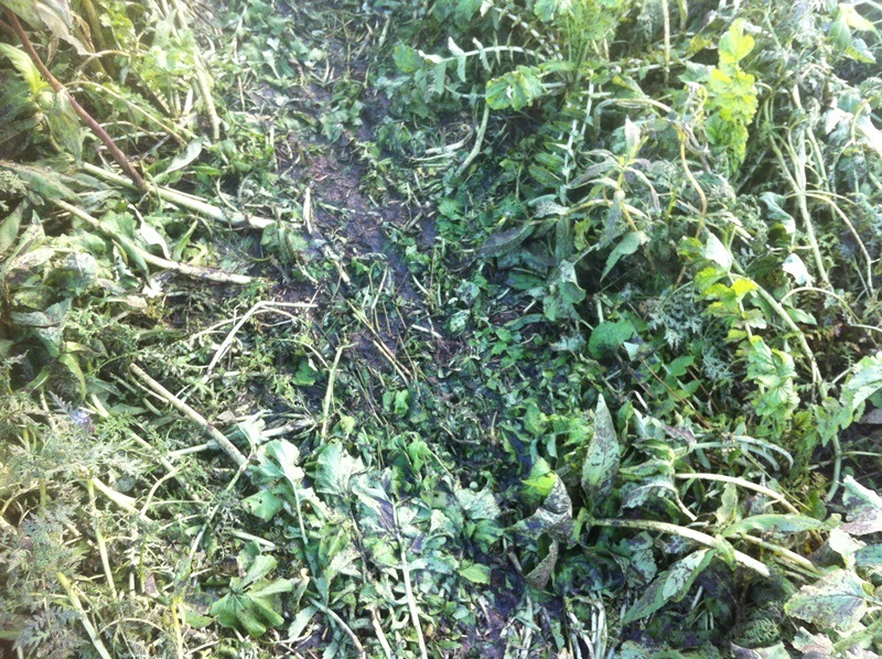 Bilder 17.10 006.JPG