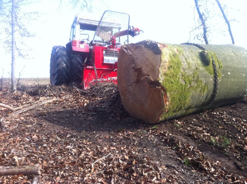 Doblhammer, A501S Var. IV.jpg