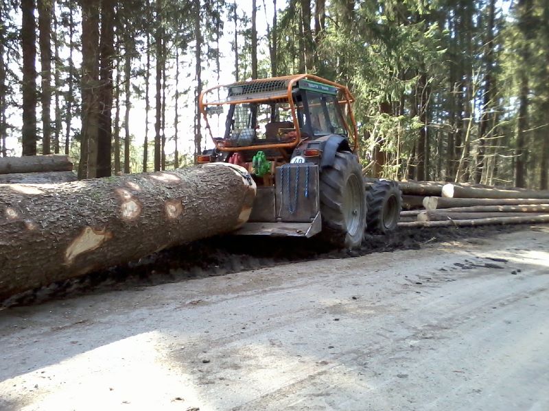 Foto0010 (800x600).jpg