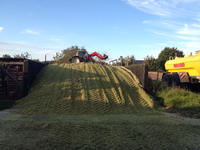 2014-09-29 20.13.26.jpg