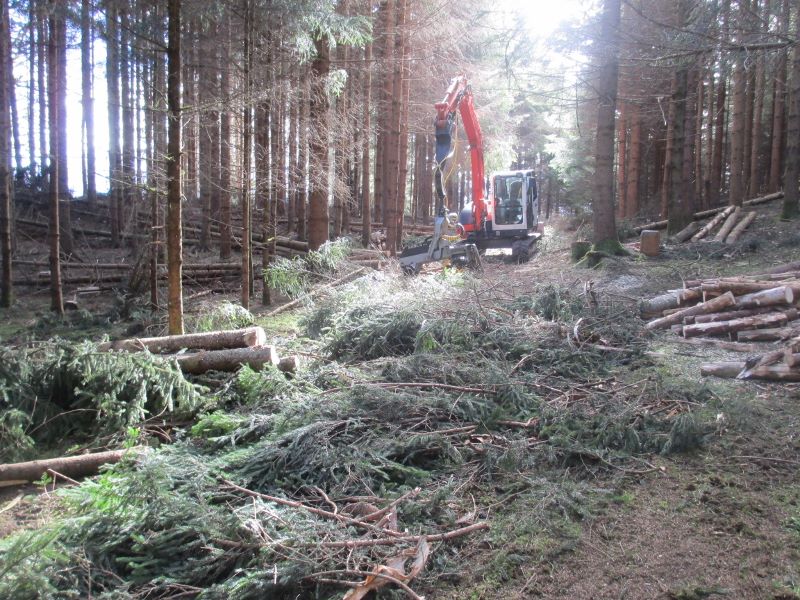 04.04.2014 007 (800x600).jpg