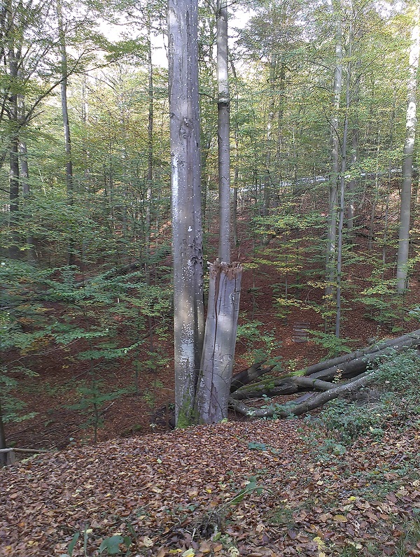 2014-10-26 15.05.41.jpg