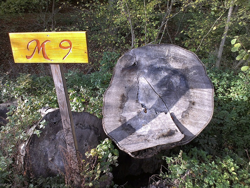 2014-10-26 15.14.24.jpg