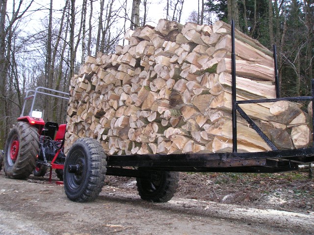071215-Holzmachen (13) Große Webansicht.jpg