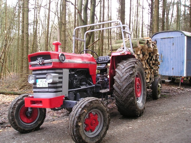 070113-Holzmachen (8) Große Webansicht.jpg