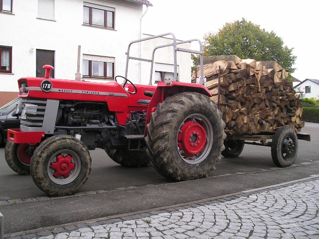 070929-Holzmachen (1) Große Webansicht.jpg