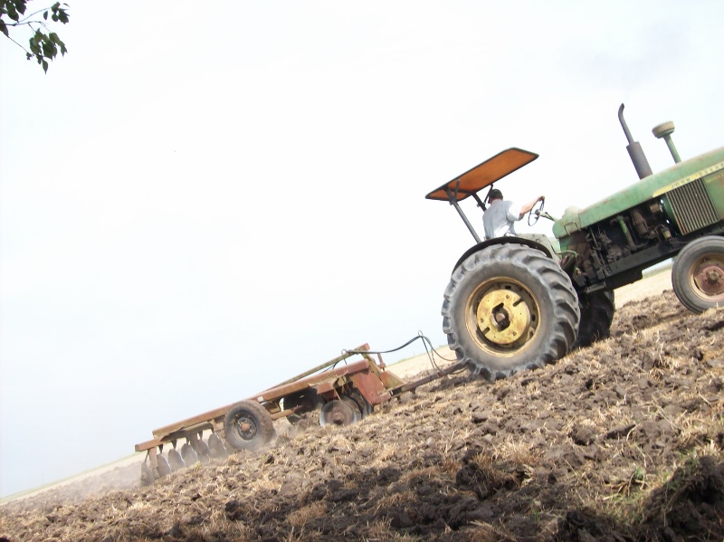 100_1112 (800x599).jpg