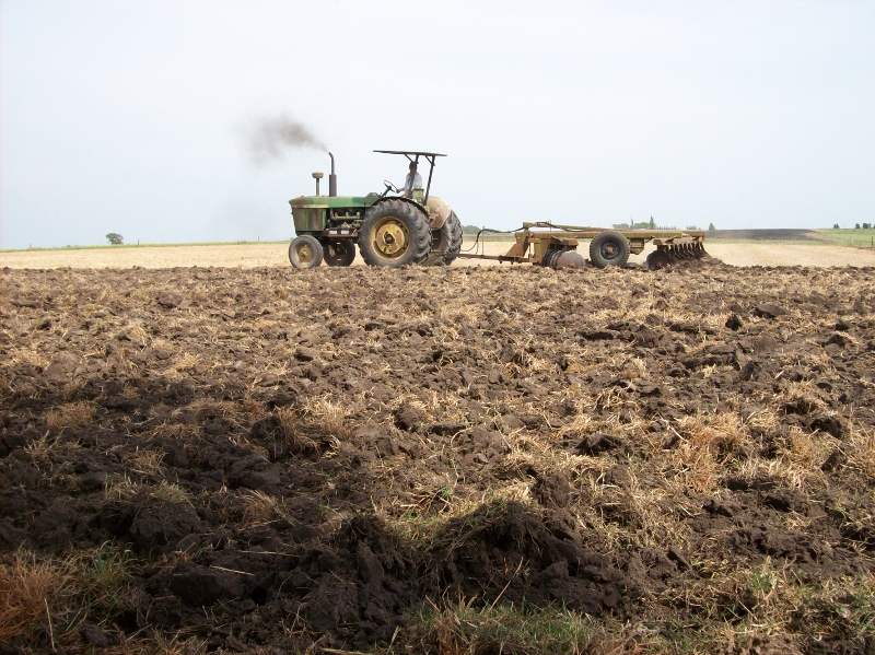 100_1113 (800x599).jpg