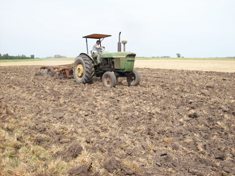 100_1114 (800x599).jpg