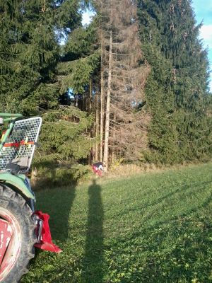 2014-11-07 15.19.35.jpg