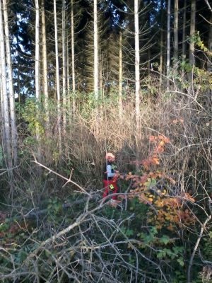 2014-11-07 15.55.08.jpg