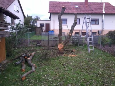 2014-10-17 16.51.40.jpg