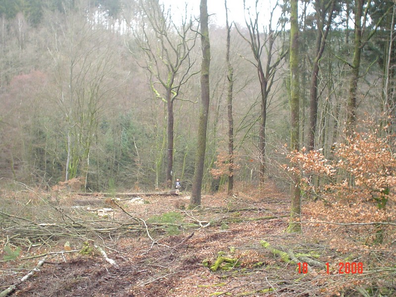 Seelwann Farmi 007-.jpg
